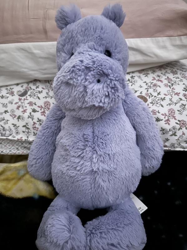 Jellycat Bashful Hippo | MYER
