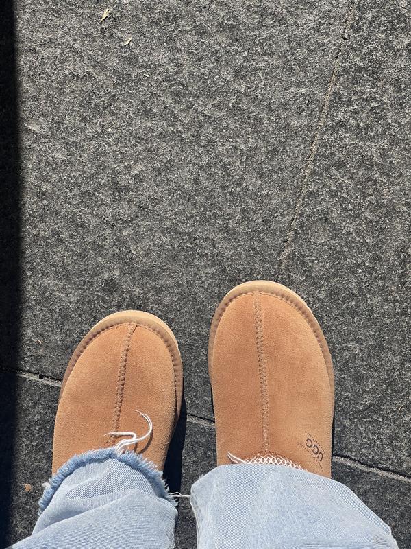 Ozwear Ugg Sydney Slipper in Sand | MYER
