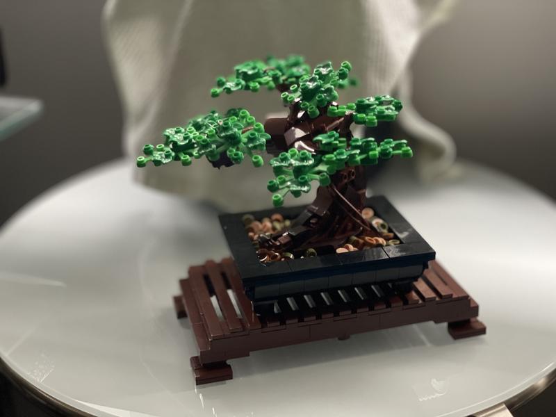 LEGO Bonsai Tree 10281 MYER