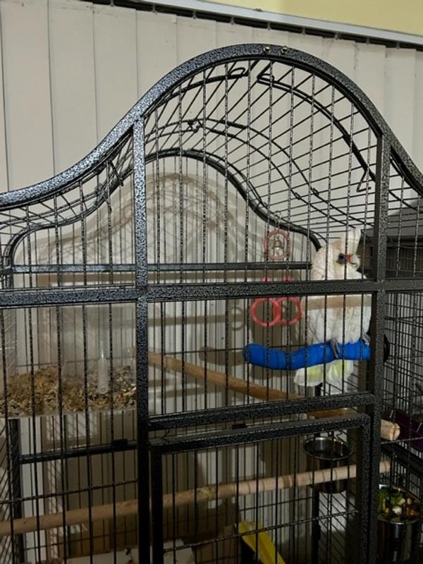 Prevue Hendryx Silverado Macaw Bird Cage