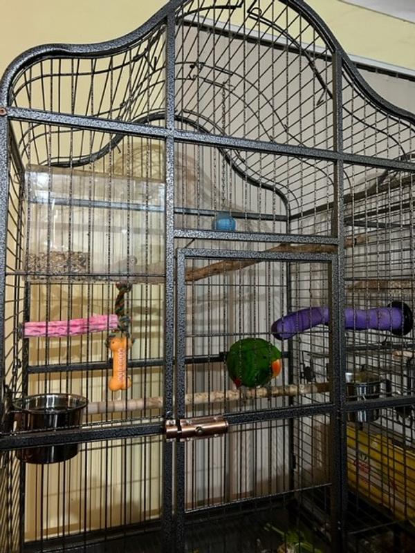 Prevue Hendryx Silverado Macaw Bird Cage