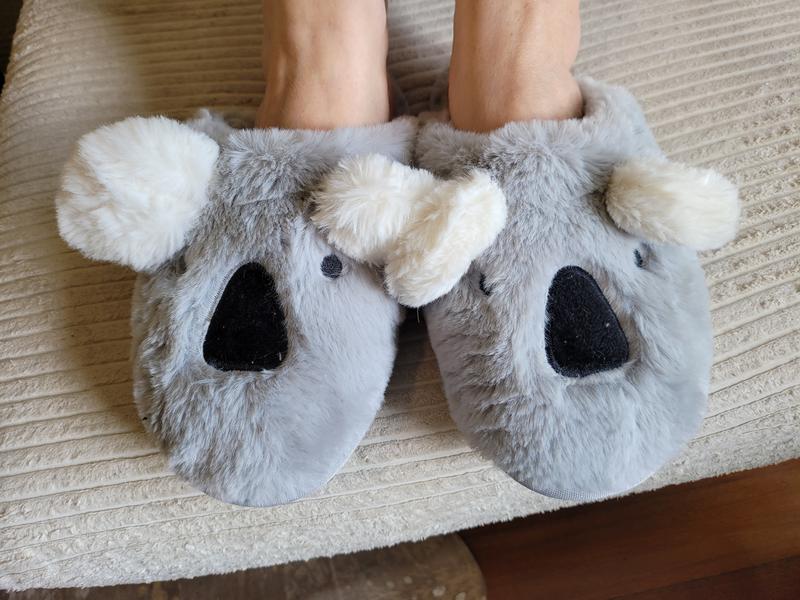 Koala cheap slippers hollister