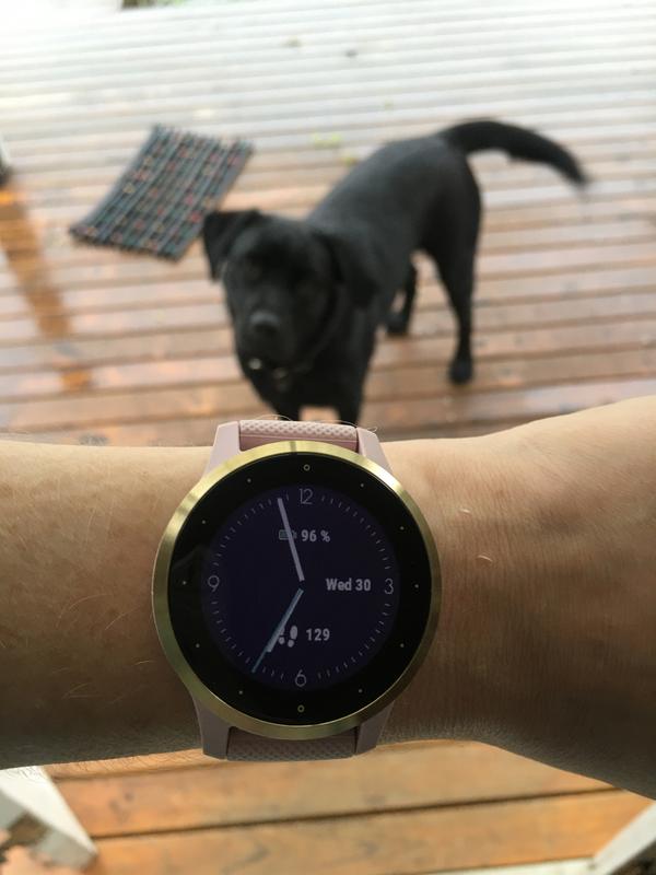 Garmin vivoactive 4s rose gold online pink