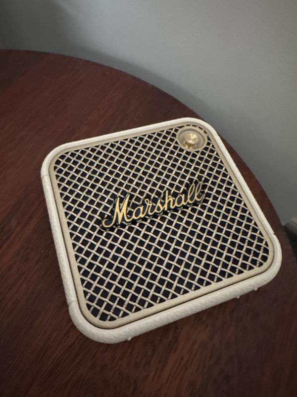 Marshall Willen II 254089 in Cream | MYER