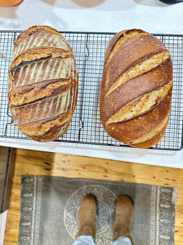 Emile Henry Artisan Bread Loaf Baker in Burgundy — Las Cosas