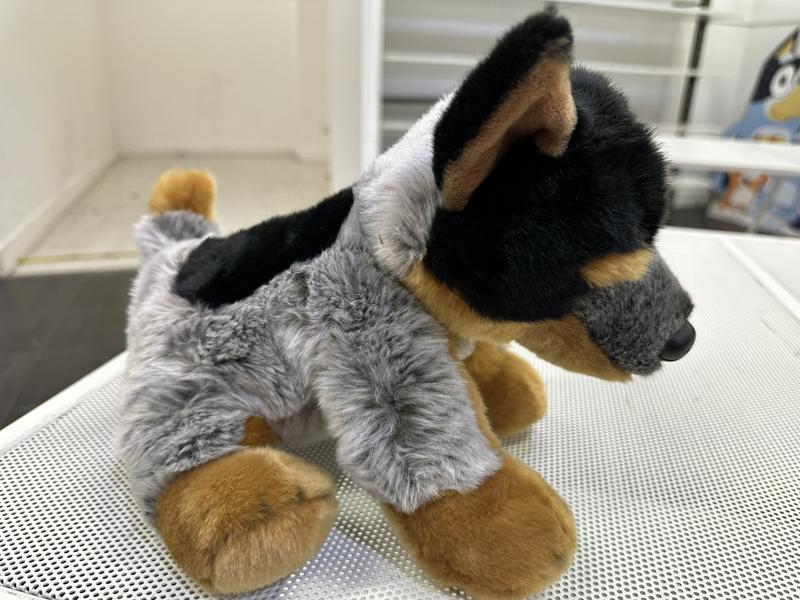 Korimco Lil Friends Blue Heeler Soft Plush Toy - Souvenirs Direct