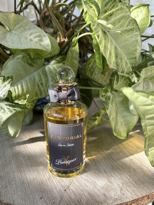 Penhaligon's Sartorial Eau De Tiolette 100ml | MYER