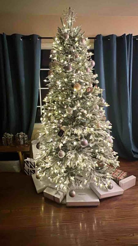 Review Thumbnail Image 0 229975417