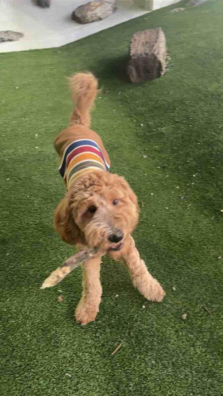 Review Thumbnail Image 0 246535033