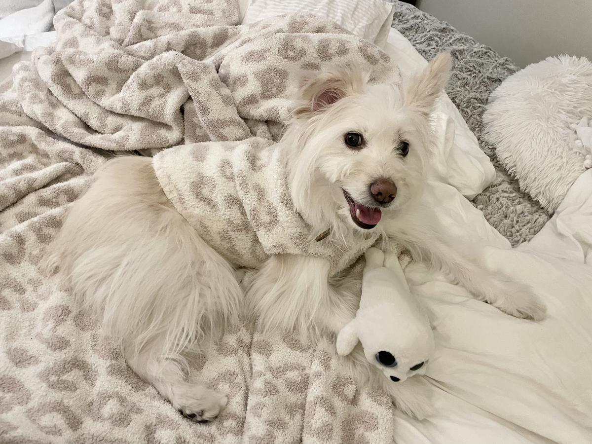 Review Thumbnail Image 0 209312537