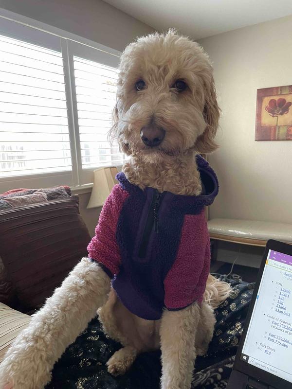 Review Thumbnail Image 0 213645743