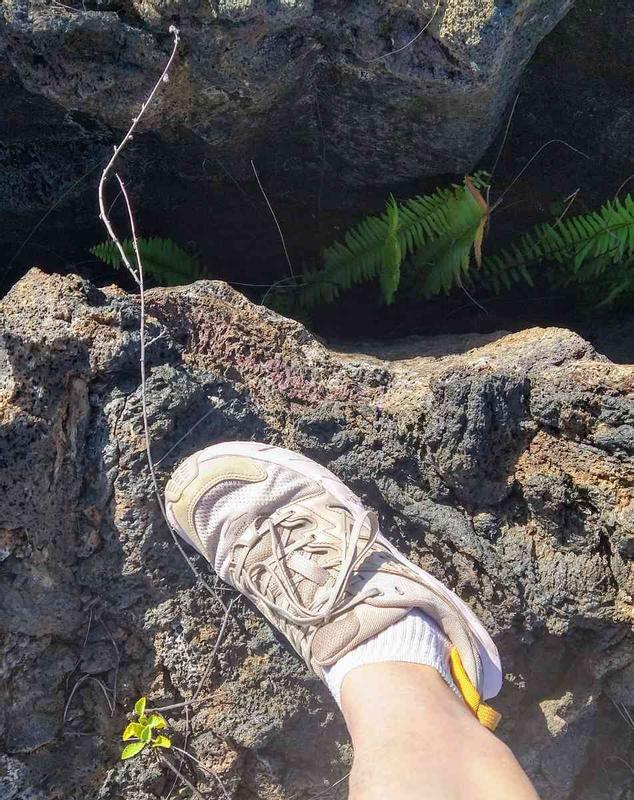 Review Thumbnail Image 0 232742022