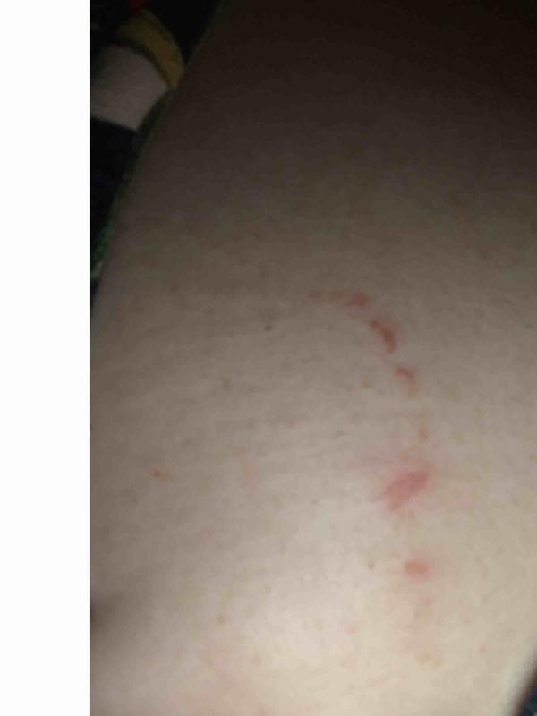 Review Thumbnail Image 0 225376447