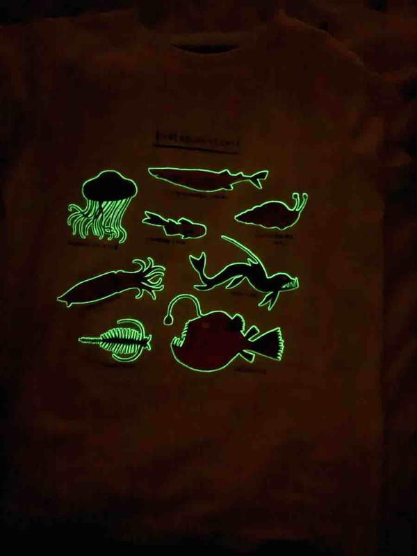 Review Thumbnail Image 1 244387528