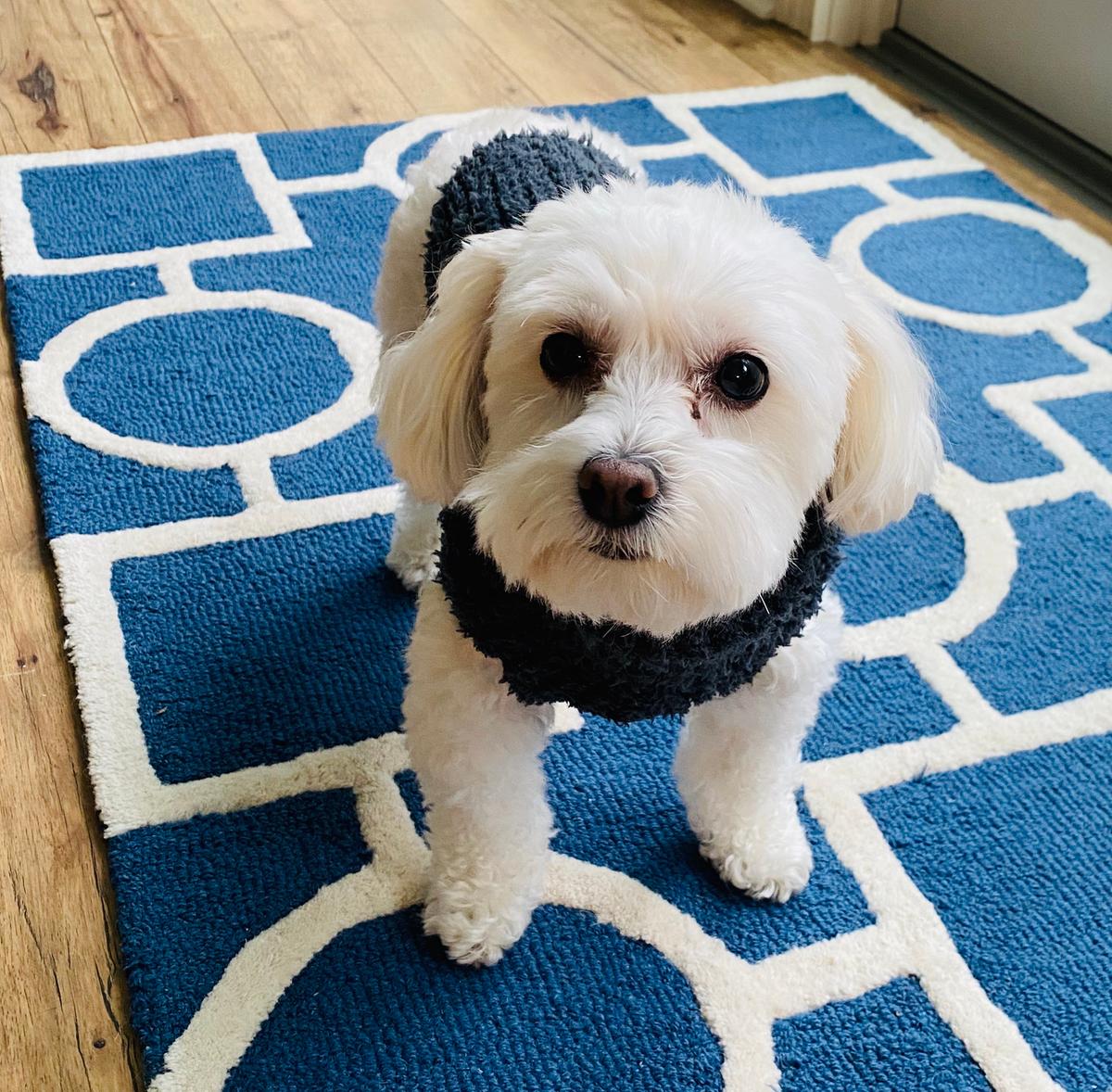 Review Thumbnail Image 0 200536745