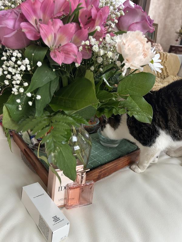 Review Thumbnail Image 0 239518959