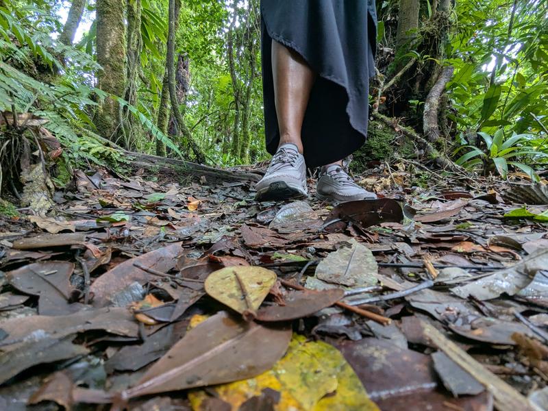 Review Thumbnail Image 1 242222983