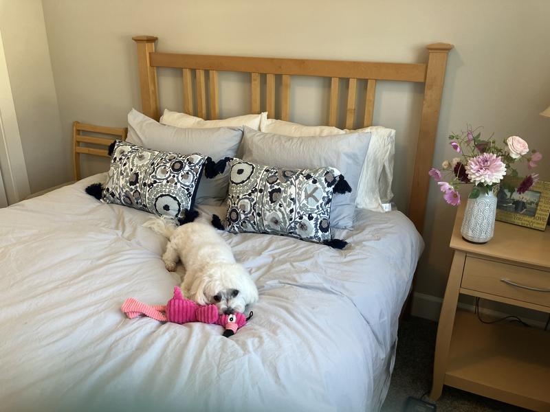 Review Thumbnail Image 0 235851264