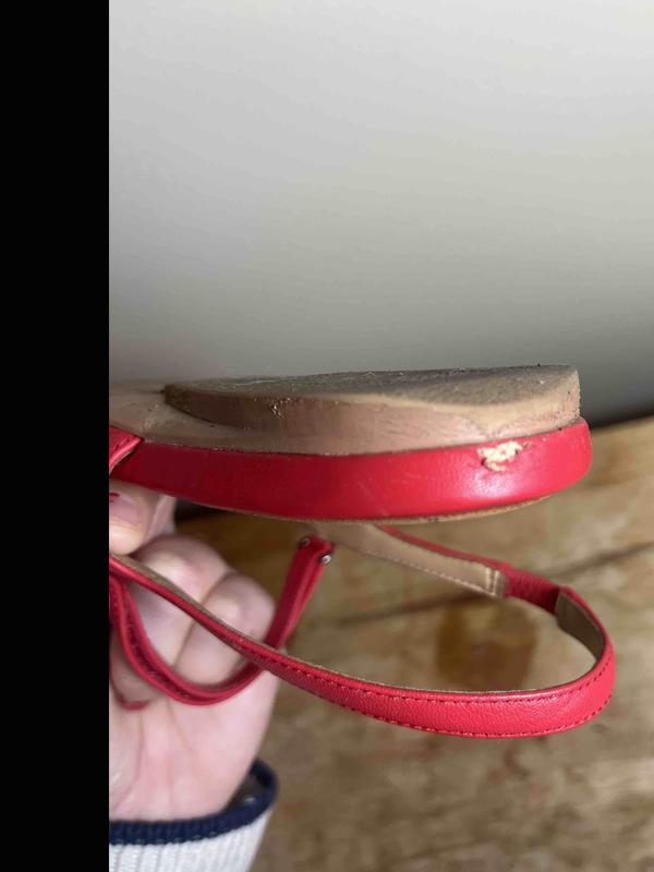 Review Thumbnail Image 1 237809544