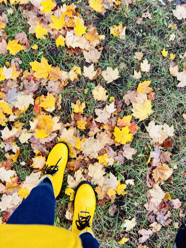 Review Thumbnail Image 3 212039303