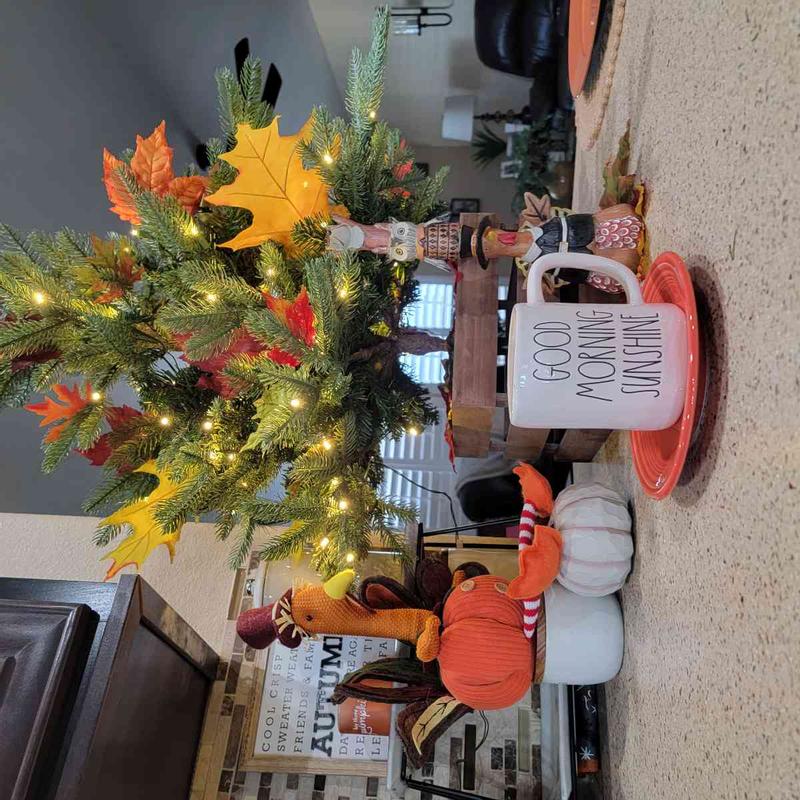 Review Thumbnail Image 0 220404655