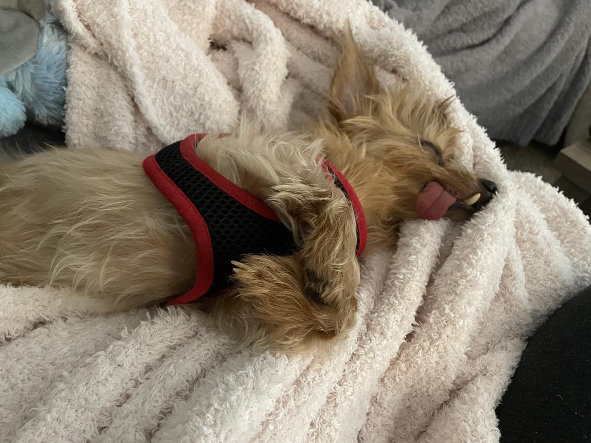 Review Thumbnail Image 0 209970982