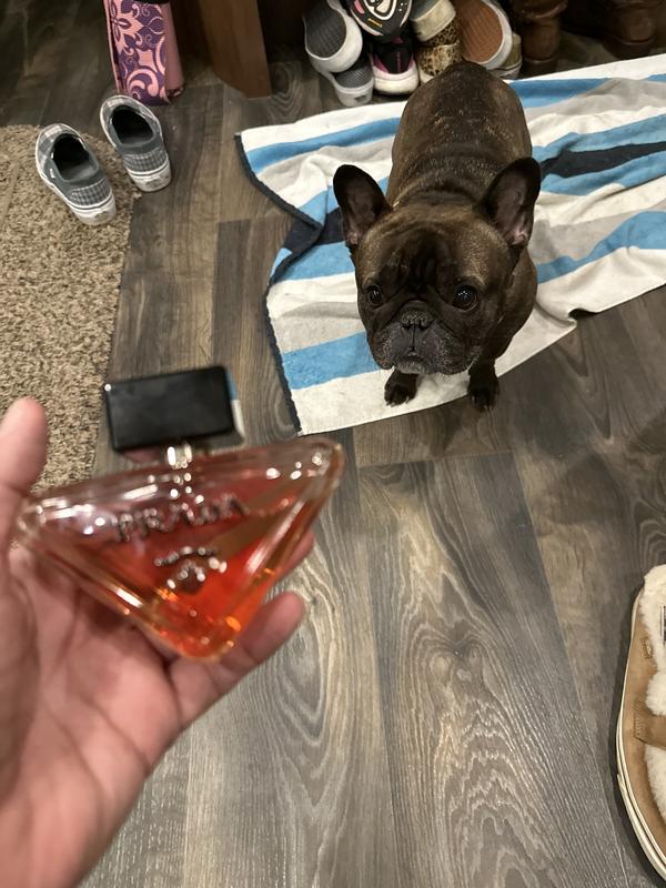 Review Thumbnail Image 1 231816811