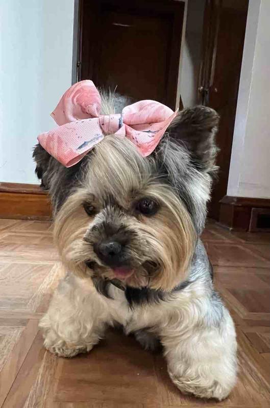 Review Thumbnail Image 1 218047585