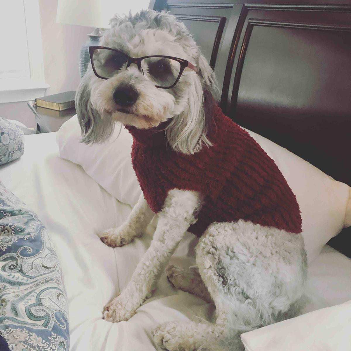 Review Thumbnail Image 1 201699319