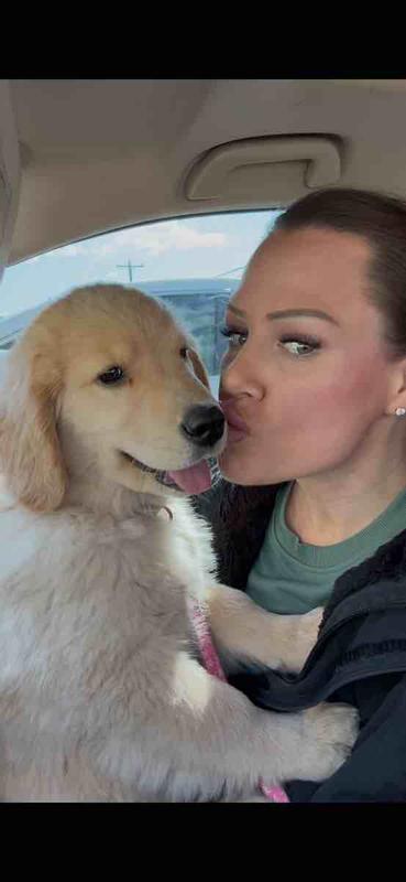 Review Thumbnail Image 1 239658824