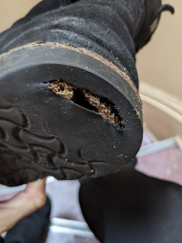 Review Thumbnail Image 0 223101113