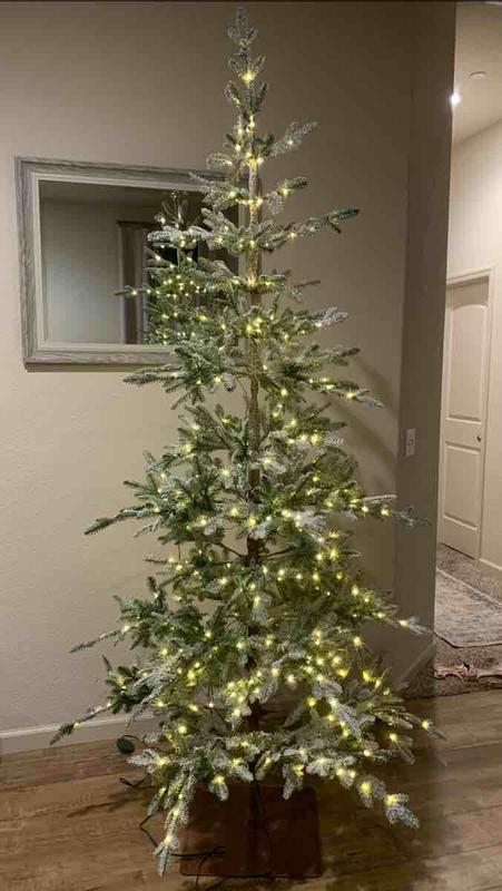 Review Thumbnail Image 3 236761386