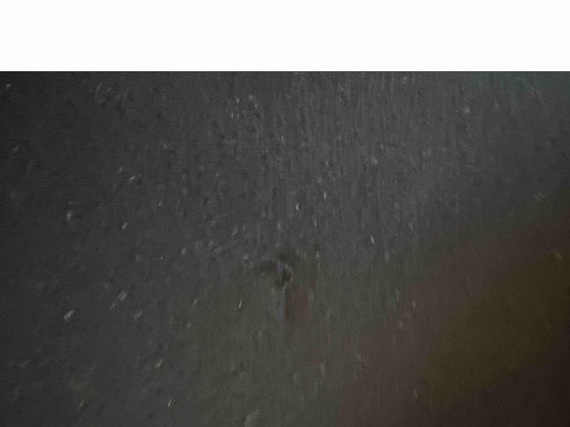 Review Thumbnail Image 0 230229968