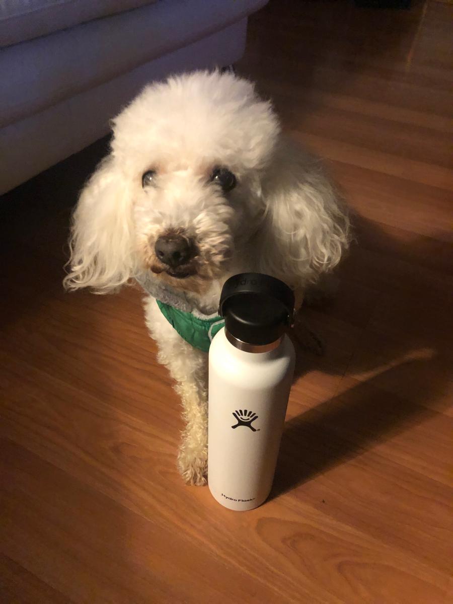 Review Thumbnail Image 0 192772561