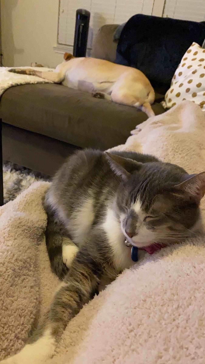 Review Thumbnail Image 0 199584787