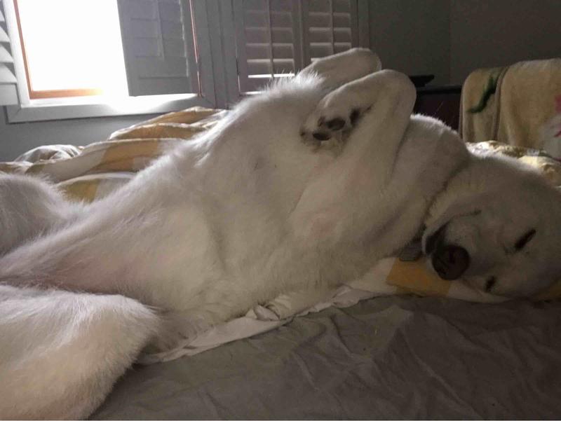 Review Thumbnail Image 0 212561011