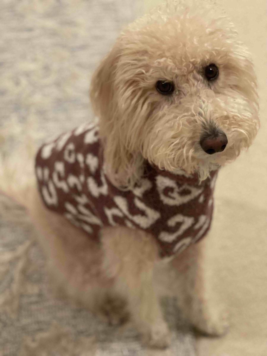 Review Thumbnail Image 0 209543242