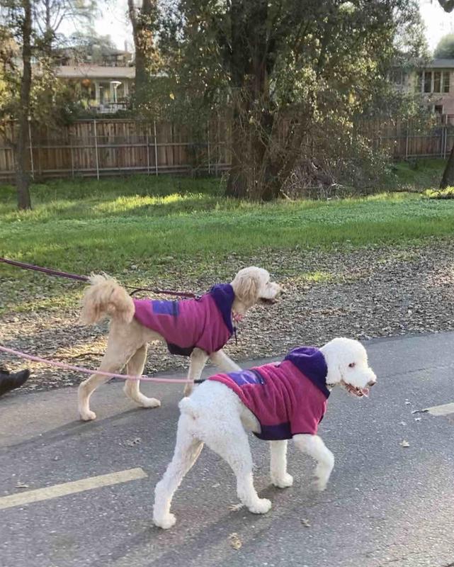 Review Thumbnail Image 2 213645743