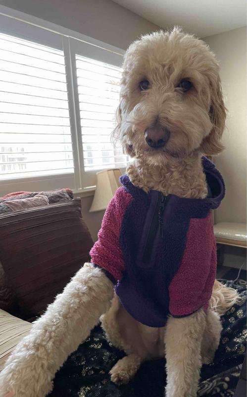 Review Thumbnail Image 1 213645743