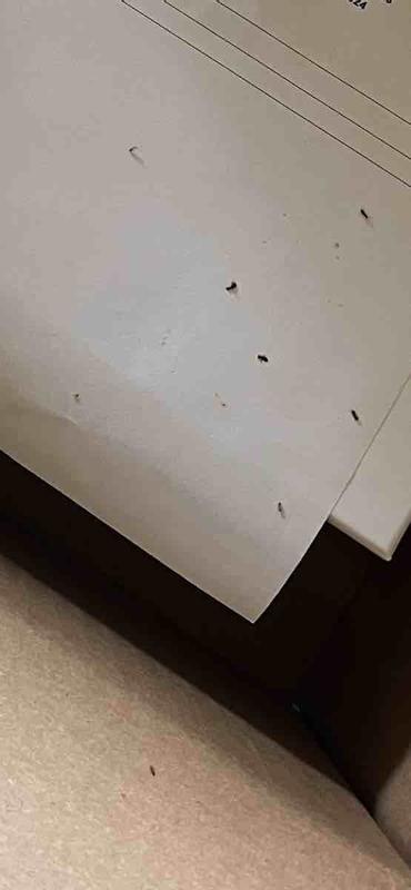 Review Thumbnail Image 3 234906204