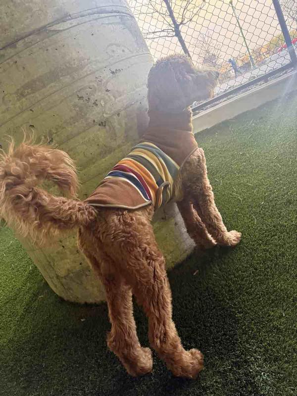 Review Thumbnail Image 2 246535033