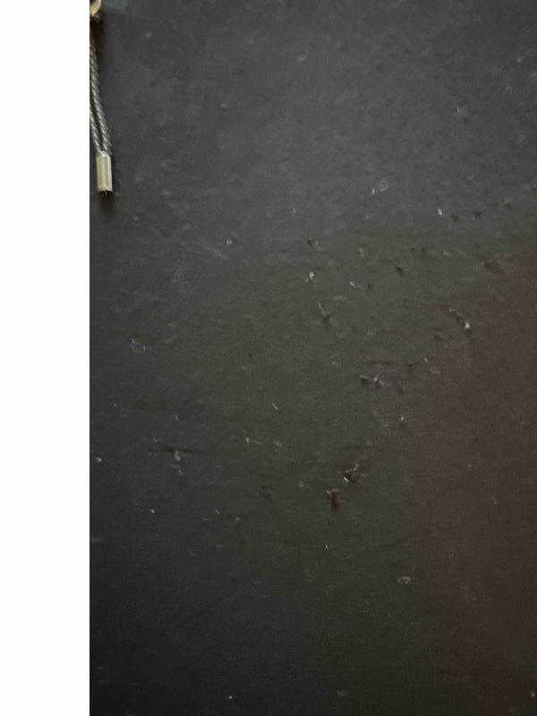 Review Thumbnail Image 1 230229968