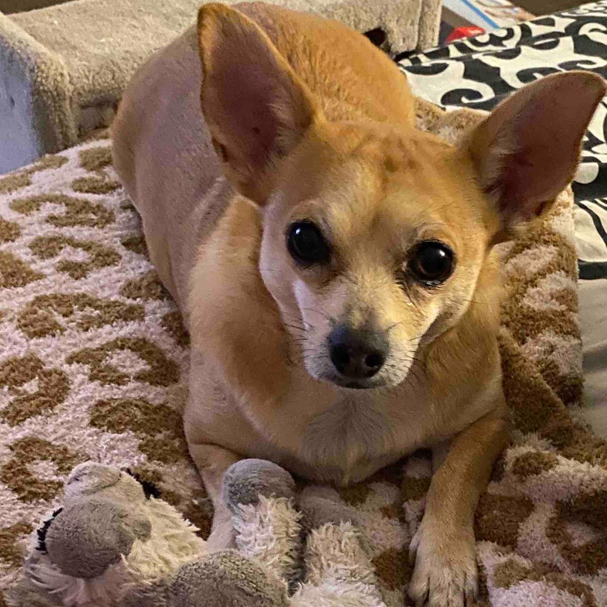 Review Thumbnail Image 0 199278278