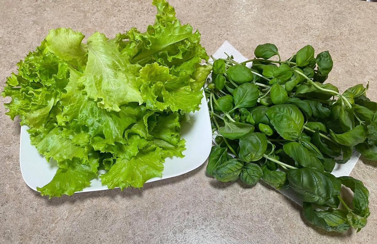 Review Thumbnail Image 1 204802947