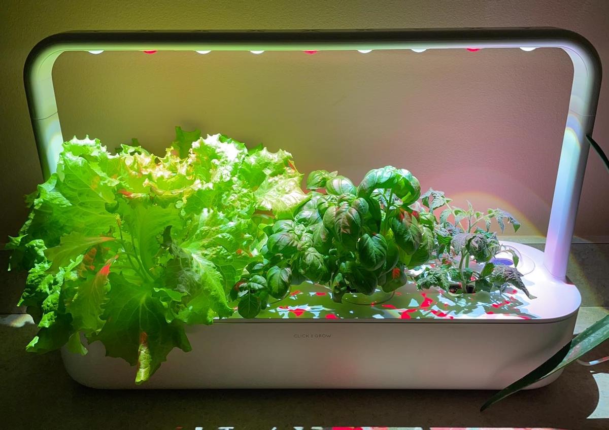 Review Thumbnail Image 0 204802947