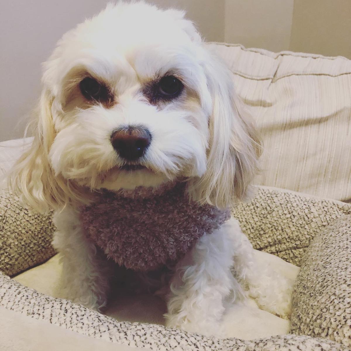 Review Thumbnail Image 0 193866488