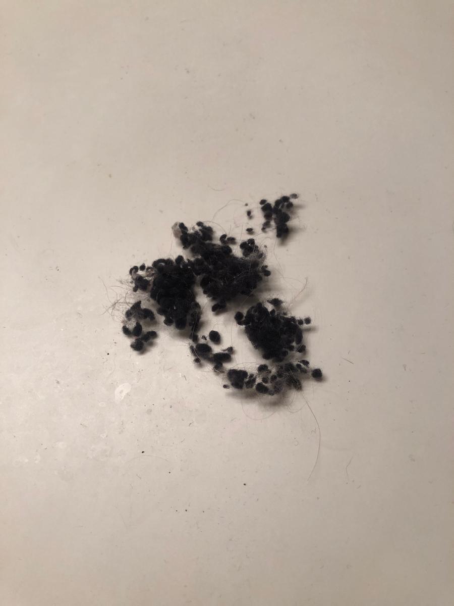 Review Thumbnail Image 0 199858162