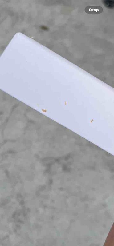 Review Thumbnail Image 0 234906204