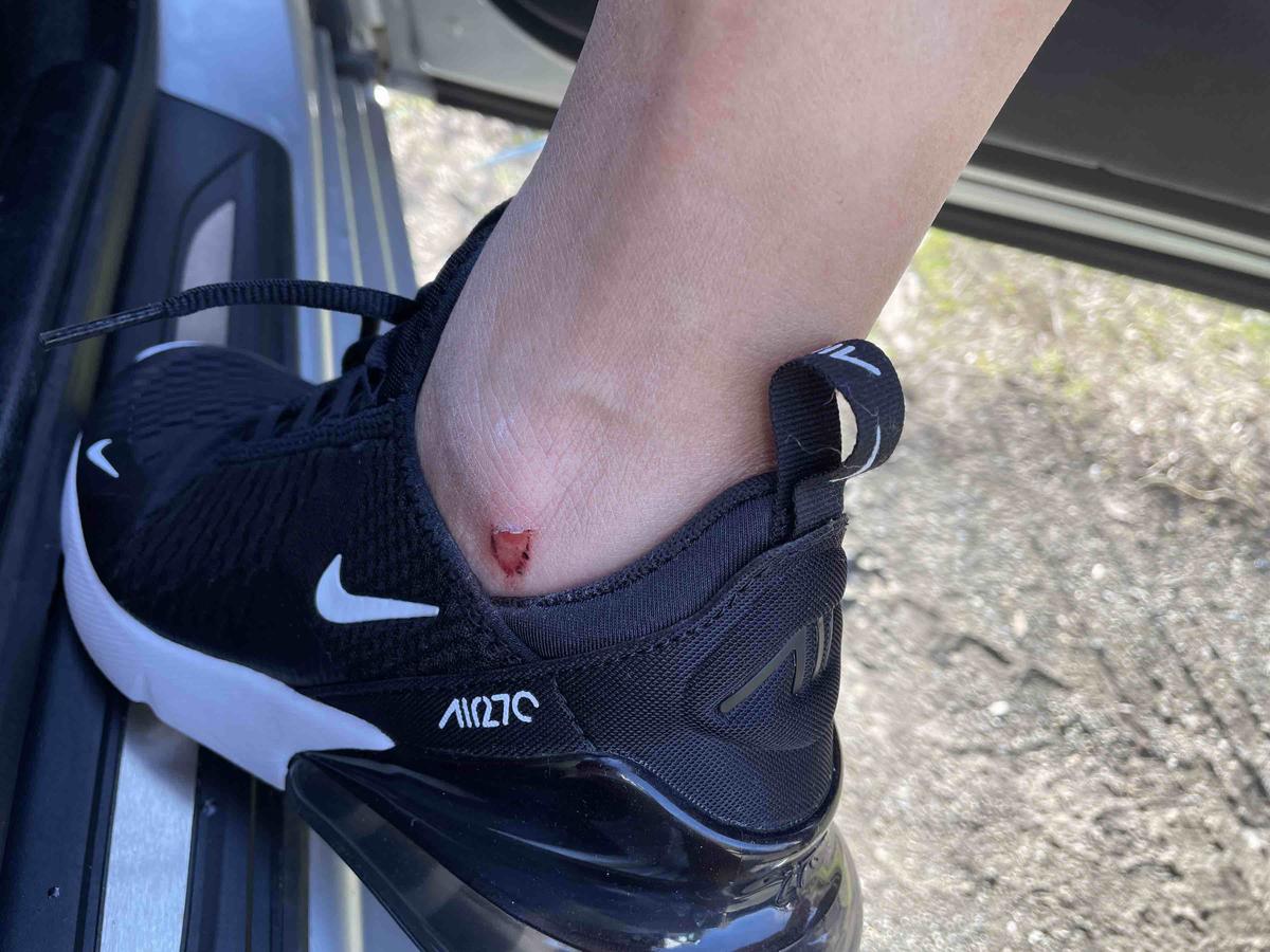 Review Thumbnail Image 1 203960778