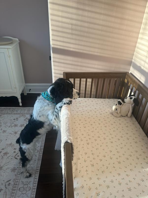 Review Thumbnail Image 0 240718293